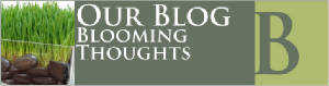 What's in season? How to design? Plant care and much more!