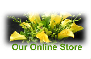 Click to Send NYC Sympathy Flowers Online