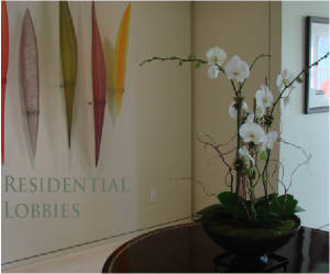 Residential Lobbies