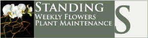 Manhattan, NYC Weekly Flowers, NYC Orchid Plants and Indoor Plant Maintenance Program