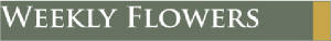 Weekly Flower Delivery & plant maintenance for Lobbies, Receptions, Restaurants, Hotels & more!
