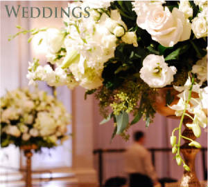 A Starbright Bride. Make your wedding magical.
