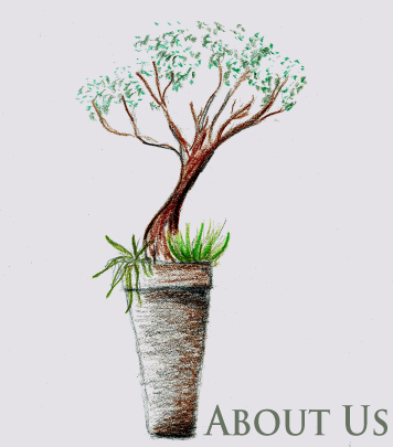 Founded in 1994, a complete history on NYC's premiere florist.