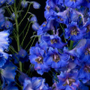 ThumbnailBanner/12.jpg