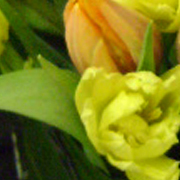 Floral Services for Marketing Dept's.jpg