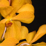 ThumbnailBanner/st39.jpg