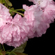 ThumbnailBanner/st_53.jpg