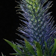 ThumbnailBanner/st_55.jpg
