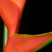 ThumbnailBanner/st_59.jpg