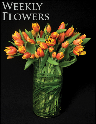 Weekly Flower Delivery & plant maintenance for Lobbies, Receptions, Restaurants, Hotels & more!